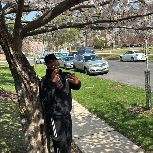 MAD  D. profile photo