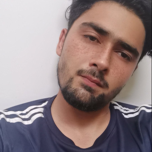 Safi U. profile photo