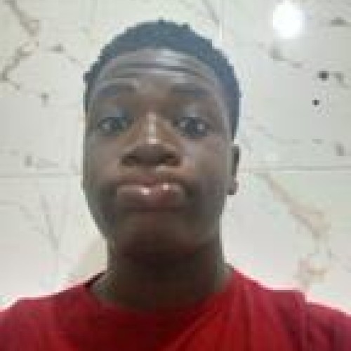 martins t.