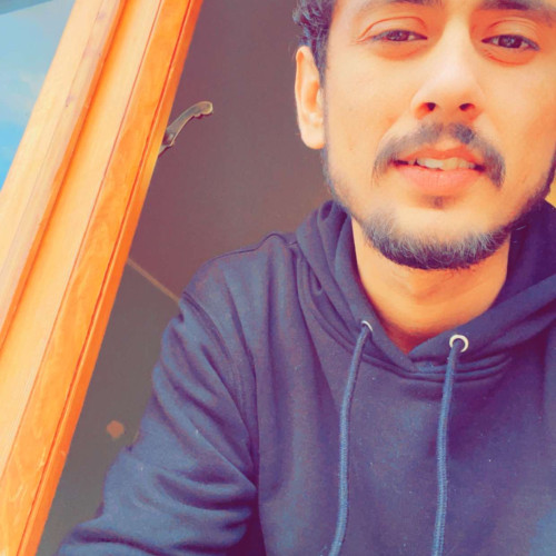 Sibtain V. profile photo