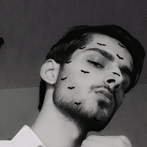 Muhammed  S. profile photo