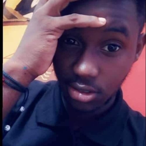 Orlando N. profile photo