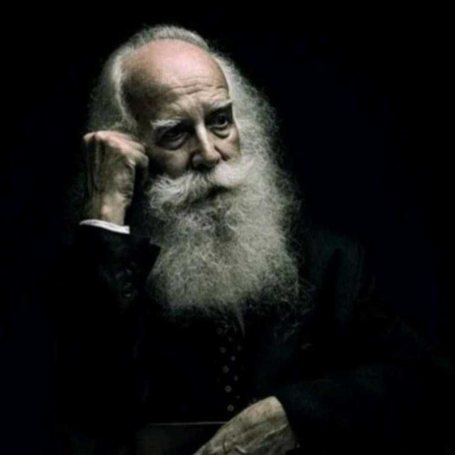 Docteur C. profile photo