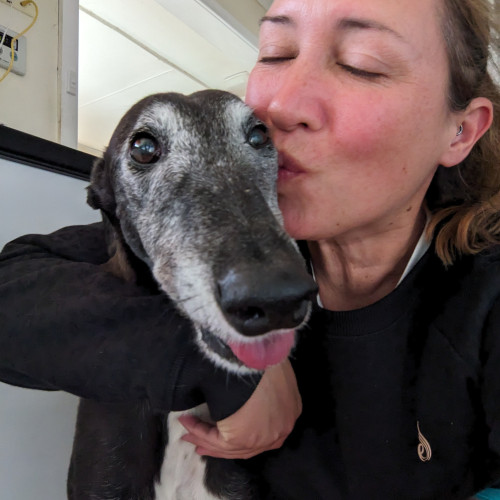 Claire T. profile photo