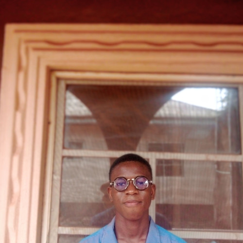 Olukay  S. profile photo