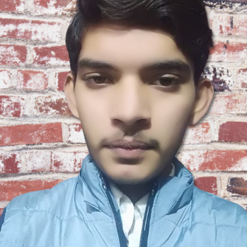 Alamdar H. profile photo