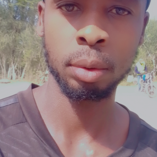 Kingsley  G. profile photo