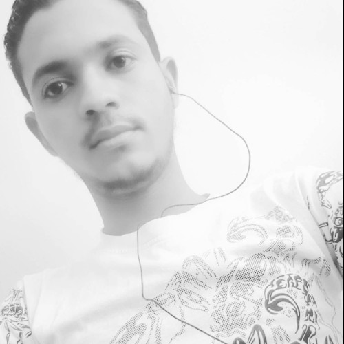 Ali A. profile photo