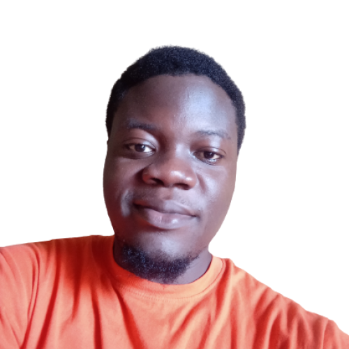 Temidayo O. profile photo