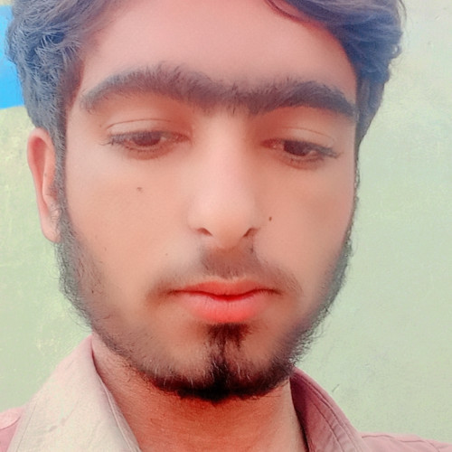 Gulfam S. profile photo