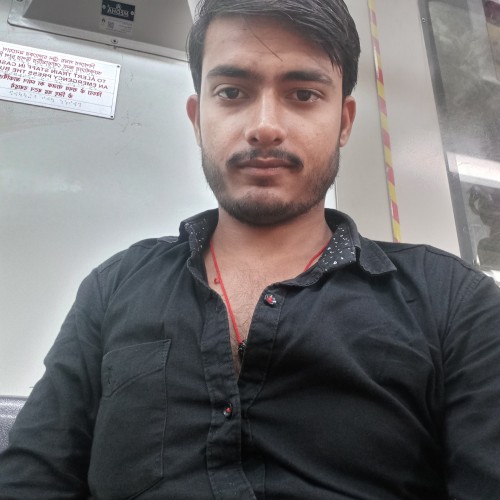 Divyanshu S.