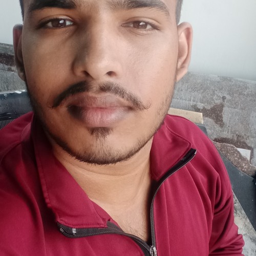 Vivek  P. profile photo