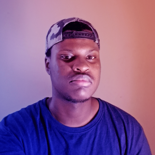 Siphe N. profile photo