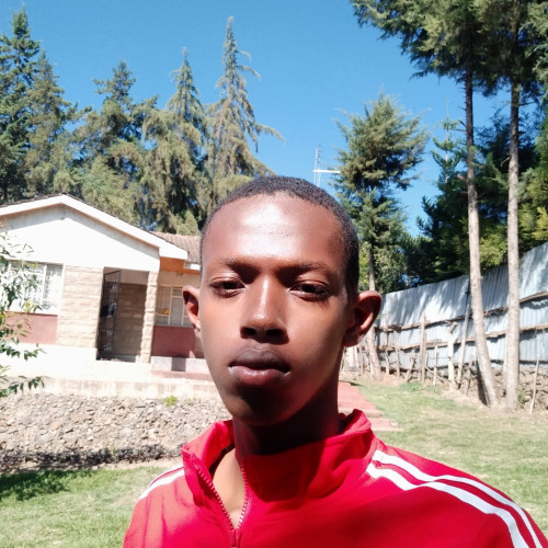 Raph M. profile photo