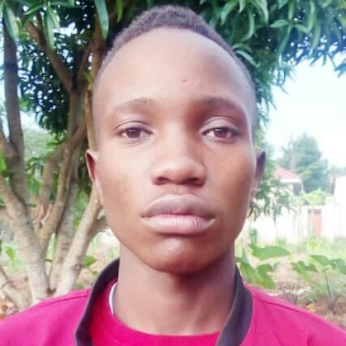 Marvin  L. profile photo