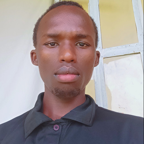 Brian P. profile photo