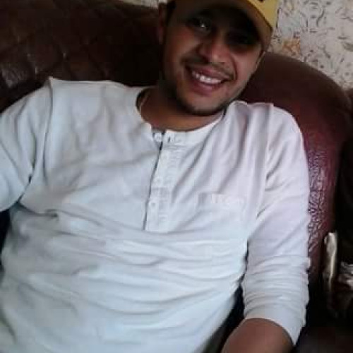 Mohamed A.
