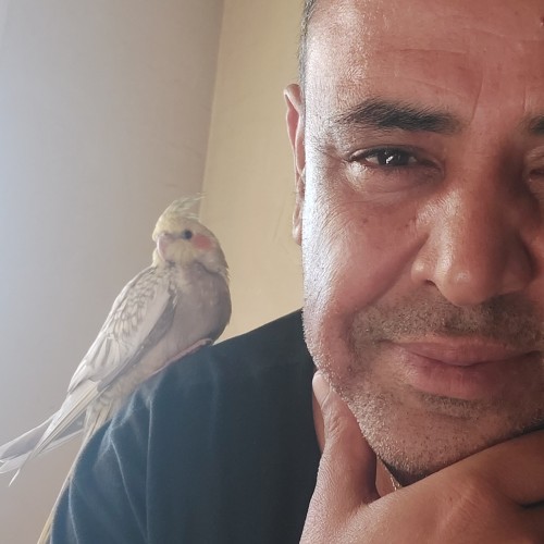 Said E. profile photo