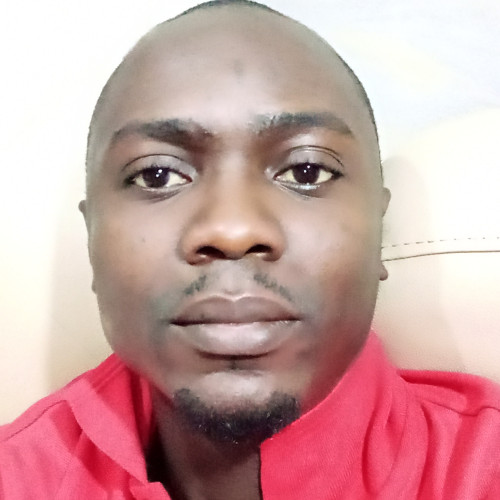 Olushola  A. profile photo