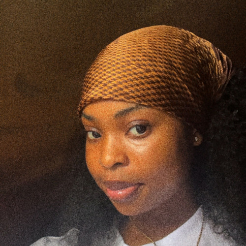 Oluwadamilare A. profile photo