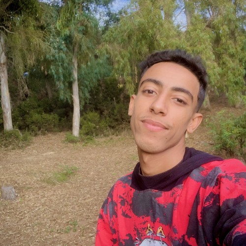 Srighini  A. profile photo