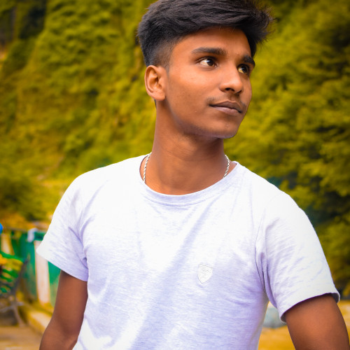 Krishnendu S. profile photo