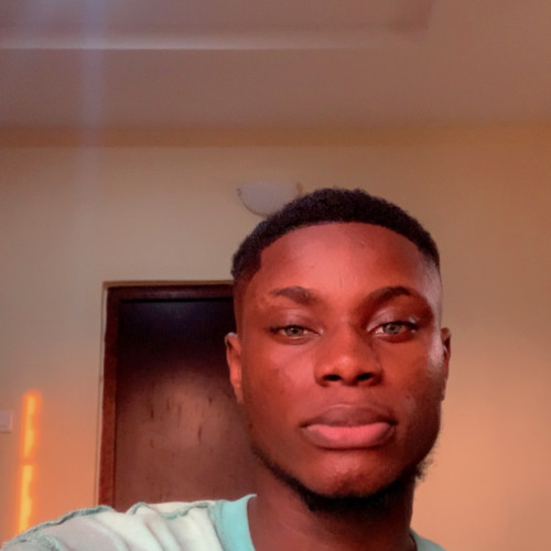 Snow berry  S. profile photo