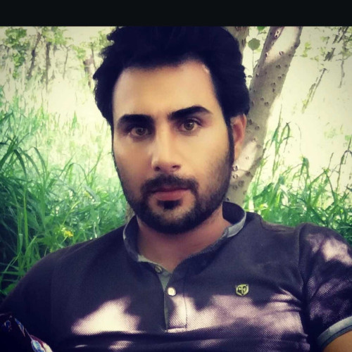 amir k. profile photo