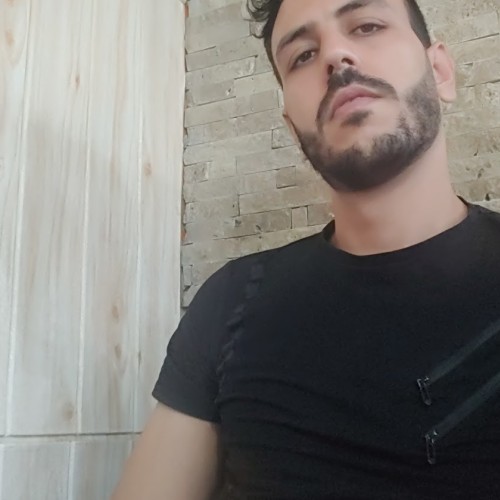 hamid h.