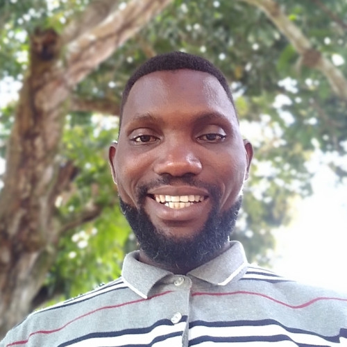 Sesan  O. profile photo