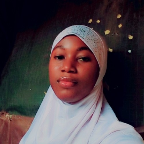 Ibrahim S. profile photo