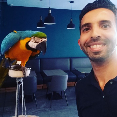 Houdaifa B. profile photo