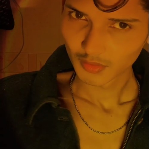 Mehmood  M.