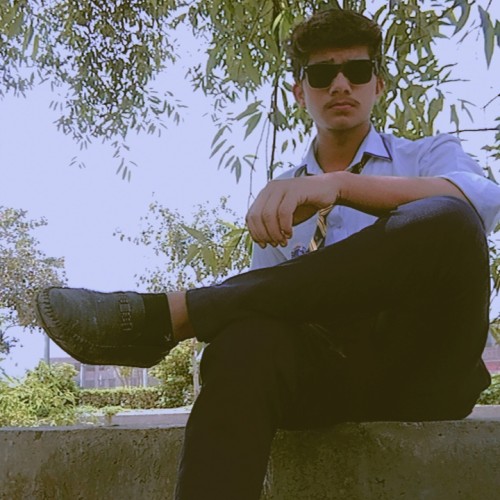 Ahmed  F.