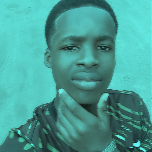 Ugochukwu A. profile photo