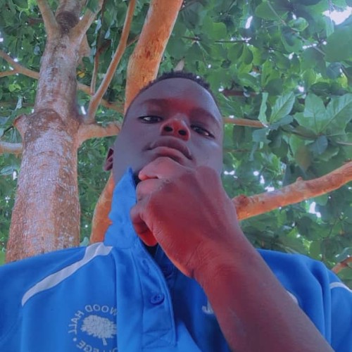 Olatoye  P.