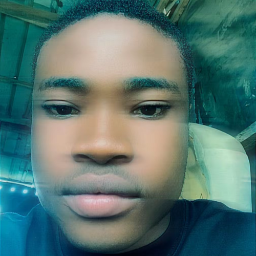 Afolabi S. profile photo