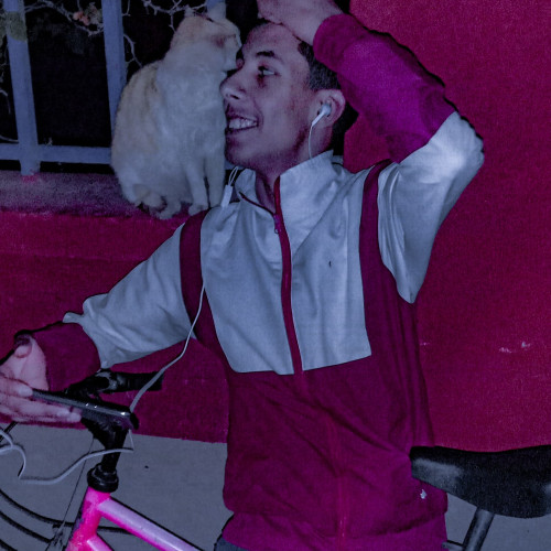 Mohcine E. profile photo