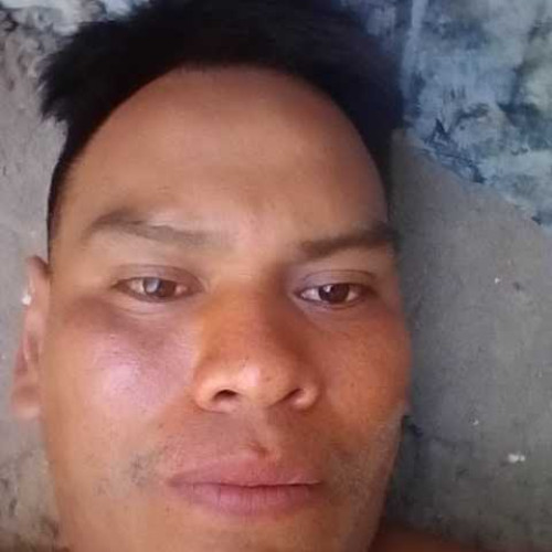 David p. profile photo
