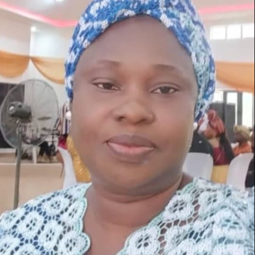 Oluwaseun  O. profile photo