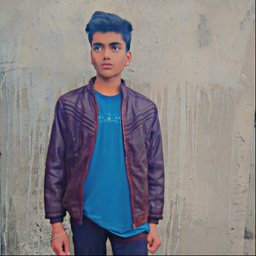 Ansh s.