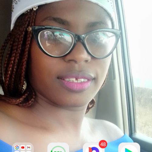 Akinlosotu  O. profile photo