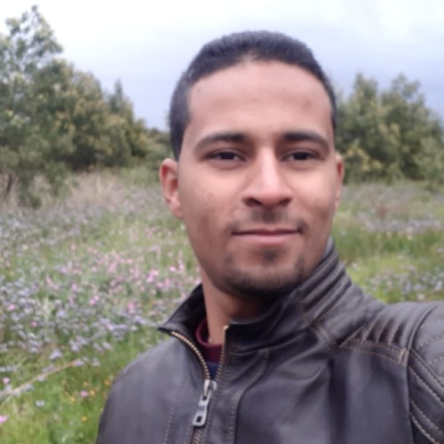Ayoub L. profile photo