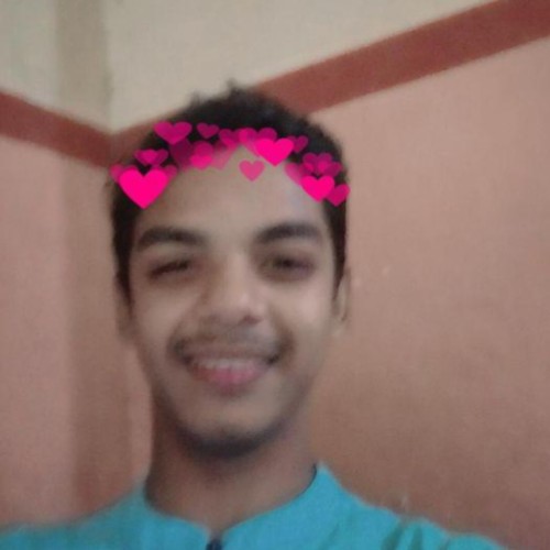 Aritra M. profile photo