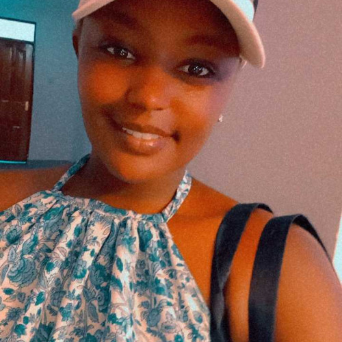 Bee n. profile photo