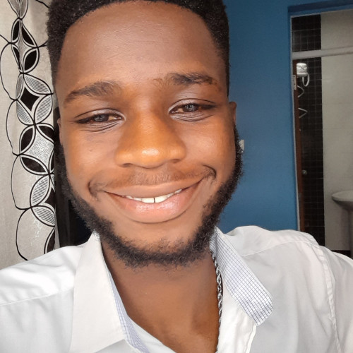 Dennis N. profile photo