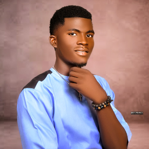 Aranmeson N. profile photo