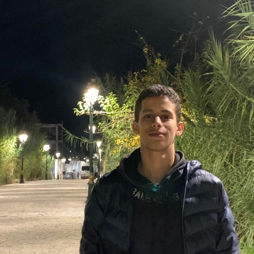 Ayoub N. profile photo