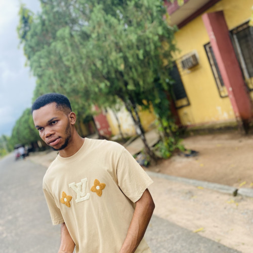 Iwuanyanwu P. profile photo