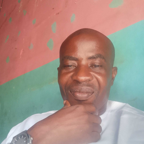 olaniyi s. profile photo